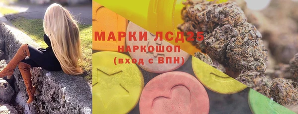 СК Арсеньев