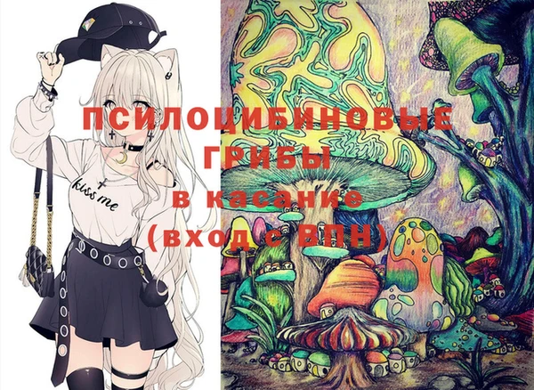СК Арсеньев