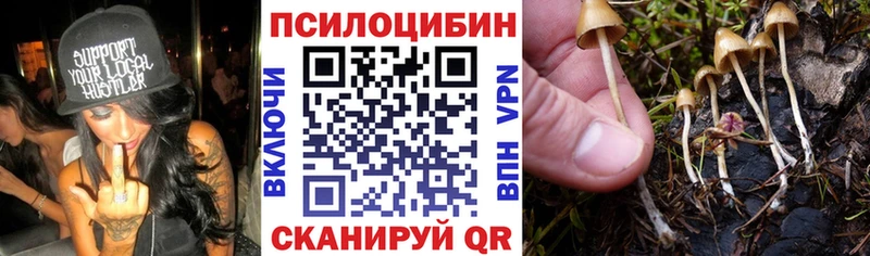 Галлюциногенные грибы Psilocybine cubensis  Мензелинск 